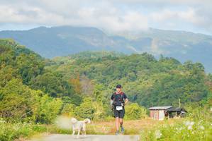 BIB: 1507
                            <button type="button" onclick="openModal(15958262)" class="btn btn-primary btn-sm float-right btn-popup" data-toggle="modal" data-target=".modal-high-quality">
                        <i class="fas fa-shopping-cart"></i> Add to Cart
                    </button>
                                            <button type="button" onclick="isThisMe(15958262, true)" class="btn btn-success btn-sm float-right btn-popup btn-isme hidden" data-toggle="tooltip" data-placement="bottom" title="นี่คือรูปของคุณใช่ไหม คลิกที่นี่เพื่อเอาเข้าอัลบั้ม">
                        <i class="fas fa-plus"></i> Add to album
                    </button>
                    <button type="button" onclick="isThisMe(15958262, false)" class="btn btn-warning btn-sm float-right btn-popup btn-isnotme hidden">
                        <i class="fas fa-ban"></i> Remove from album
                    </button>